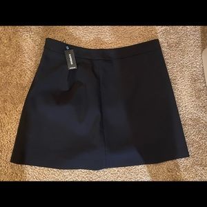 Express Aline skirt